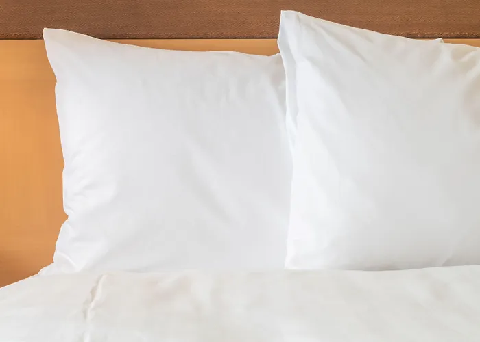 Express & Northeast By Ihg 3*